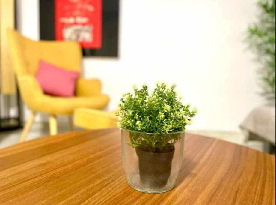 Apartment Acogedor Y Tranquilo Cerca De Setas - Centro *